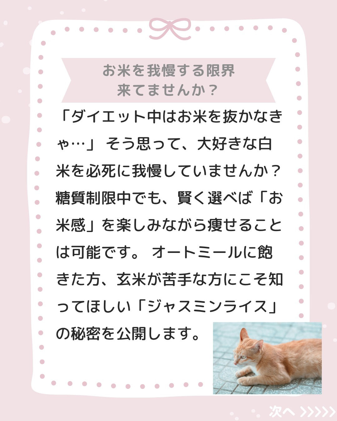 「お米が大好き！でも痩せたい…😭」